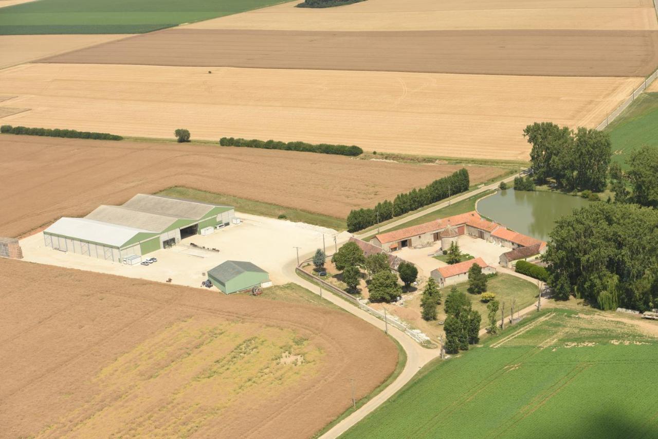 Ferme De Mesangeon Villa Beauvilliers  Eksteriør billede